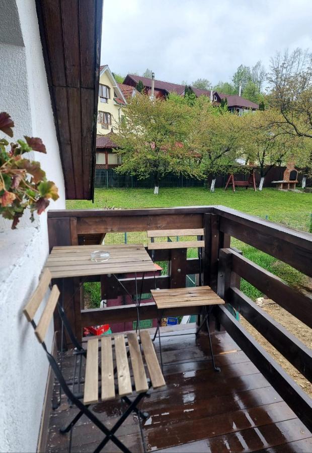 Pensiunea Tobo Baia de Fier Buitenkant foto