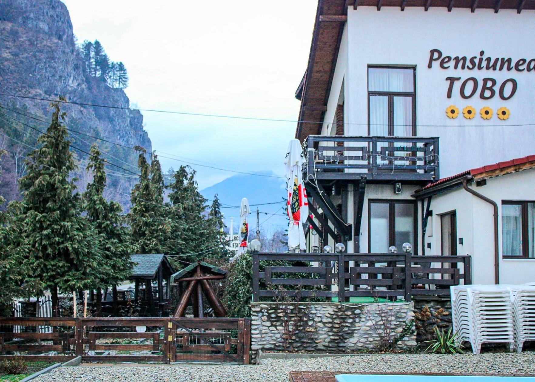 Pensiunea Tobo Baia de Fier Buitenkant foto