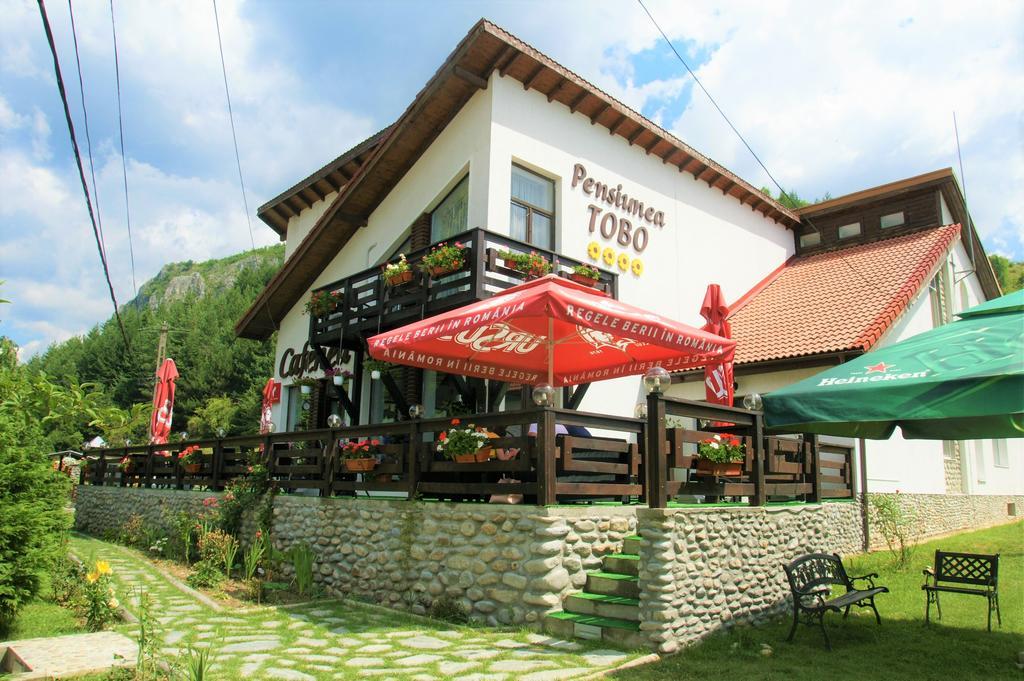 Pensiunea Tobo Baia de Fier Buitenkant foto